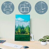 LEITZ Monitor-Halterung Ergo 64890085 lichtgrau für 1 Monitor, Tischklemme