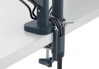 LEITZ Monitor-Halterung Ergo 64890089 dunkelgrau für 1 Monitor, Tischklemme