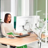 LEITZ Monitor-Halterung Ergo 65370085 lichtgrau für 2 Monitore, Tischklemme