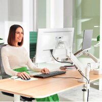 LEITZ Laptop-Monitor-Halterung Ergo 65380085 lichtgrau für 1 Monitor und 1 Laptop, Tischklemme