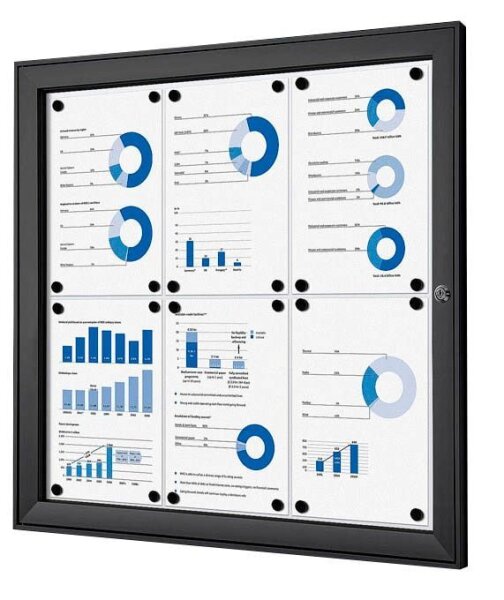 Showdown® Displays Schaukasten schwarz 6x DIN A4 74,1 x 2,3 x 69,6 cm, 1 St.
