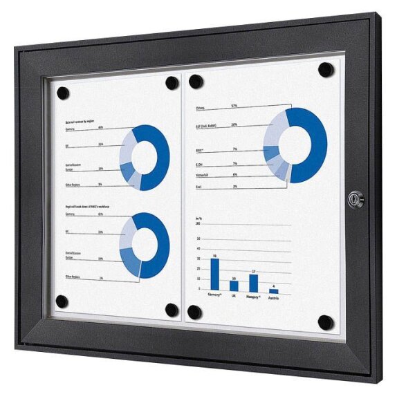 Showdown® Displays Schaukasten grau 2x DIN A4 52,1 x 2,3 x 38,8 cm, 1 St.