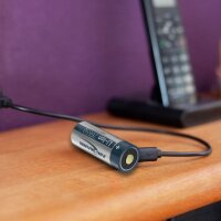 ANSMANN USB-Akku mit Ladekabel Li-Ion 26650 5100 mAh, 1 St.