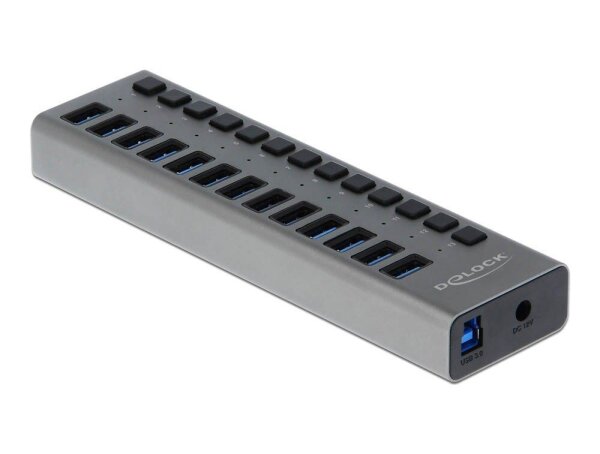 DeLOCK USB-Hub SuperSpeed 13-fach grau