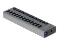 DeLOCK USB-Hub SuperSpeed 13-fach grau