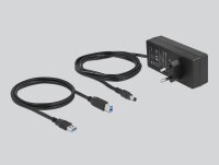 DeLOCK USB-Hub SuperSpeed 13-fach grau