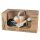 dantoy Sandspielzeug Pflanz-Set mehrfarbig, 1 Set