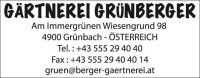 COLOP Textstempel, individualisierbar Printer 40 selbstfärbend schwarz ohne Logo, 1 St.