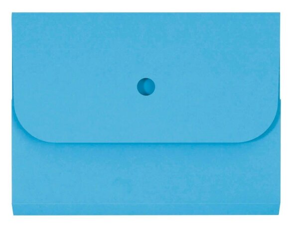 ELCO Sammelmappen Ordo forte 0,3 cm blau, 25 St.