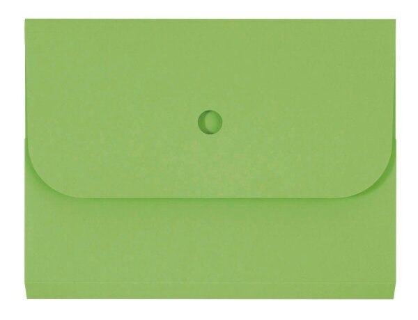 ELCO Sammelmappen Ordo forte 0,3 cm grün, 25 St.