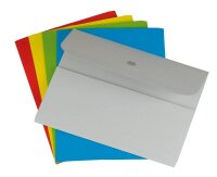 ELCO Sammelmappen Ordo forte 0,3 cm grau, 25 St.