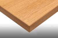 actiforce Tischplatte eiche rechteckig 120,0 x 80,0 x 2,5 cm