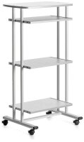 rocada PC-Tisch mit Rollen grau 68,0 x 53,0 x 126,0 cm