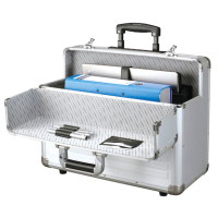 ALUMAXX Pilotenkoffer OMEGA Aluminium silber 48,0 x 23,0 x 38,5 cm