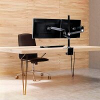 ergotron Monitor-Halterung LX-Dual 45-549-026 silber...