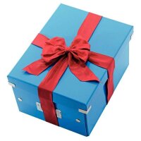 LEITZ Click & Store Aufbewahrungsbox 16,7 l blau 28,1 x 36,9 x 20,0 cm, 1 St.