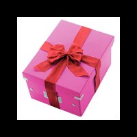 LEITZ Click & Store Aufbewahrungsbox 16,7 l pink 28,1 x 36,9 x 20,0 cm, 1 St.