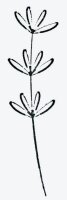artoz Motivstempel Blume 2,0 x 6,0 cm, 1 St.