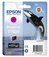 EPSON T7603 (Schwertwal) vivid magenta Druckerpatrone