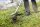 BOSCH Professional Rasentrimmermesser schwarz  ( F016800629 )