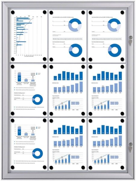 Showdown® Displays Schaukasten S alu 9x DIN A4 74,1 x 2,3 x 100,4 cm, 1 St.