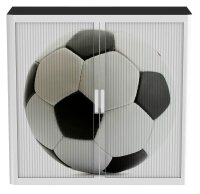 PAPERFLOW easyOffice Rollladenschrank Ball ohne...