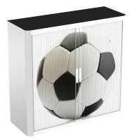 PAPERFLOW easyOffice Rollladenschrank Ball ohne...