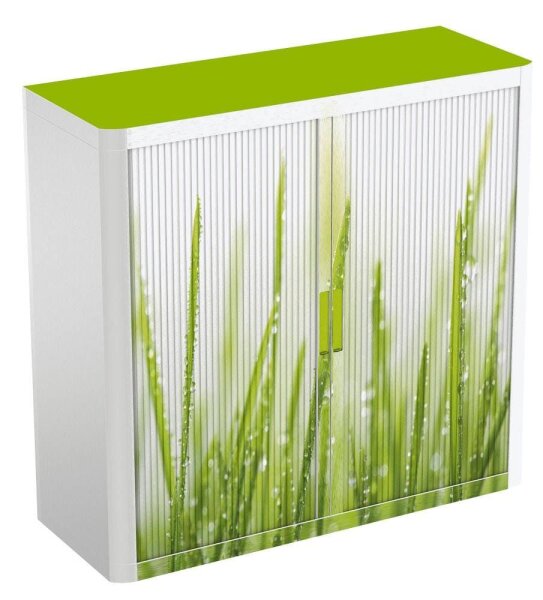 PAPERFLOW easyOffice Rollladenschrank Gras ohne Fachböden 110,0 x 41,5 x 104,0 cm