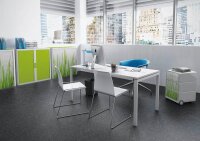 PAPERFLOW easyOffice Rollladenschrank Gras ohne...