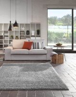 meet powered by PAPERFLOW Teppich DOLCE grau 120,0 x 170,0 cm  ( TDOL120X170.02 )