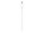 Apple Lightning/USB C Kabel 2,0 m weiß, 1 St.