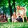 relaxdays Boule-Spiel  ( 10023517_0 )