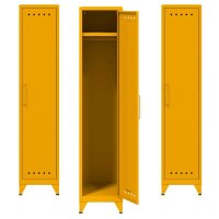 AKTION: BISLEY Stahlschränke Fern Locker FERLOC642P3...