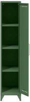 BISLEY Stahlschrank Fern Locker FERLOC3S623 olivgrün 3 Fachböden 38,0 x 51,0 x 180,0 cm, aufgebaut, 1 St.