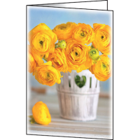 SIGEL Grußkarten Ranunculus DS104 DIN A6, 10 St.