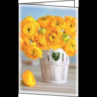 SIGEL Grußkarten Ranunculus DS104 DIN A6, 10 St.