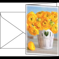 SIGEL Grußkarten Ranunculus DS104 DIN A6, 10 St.