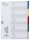DURABLE Ordnerregister DIN A4 Vollformat blanko blau, gelb, rot, grün, grau 5-teilig, 1 Satz
