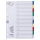 DURABLE Ordnerregister DIN A4 Vollformat blanko blau, gelb, rot, grün, grau 10-teilig, 1 Satz