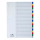 DURABLE Ordnerregister DIN A4 Vollformat blanko blau, gelb, rot, grün, grau 20-teilig, 1 Satz