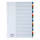 DURABLE Ordnerregister DIN A4 Vollformat blanko blau, gelb, rot, grün, grau 20-teilig, 1 Satz