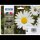 EPSON 18 / T1806 (Gänseblümchen) schwarz, cyan, magenta, gelb Druckerpatronen, 4er-Set