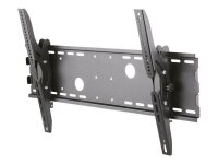 Neomounts TV-Wandhalterung PLASMA-W200BLACK schwarz