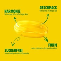 VIVIL® Zitronenmelisse ohne Zucker Bonbons 33 St./ 120,0 g, 1 Pack