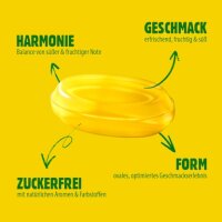 VIVIL® Zitronenmelisse ohne Zucker Bonbons 33 St./ 120,0 g, 1 Pack