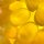 VIVIL® Zitronenmelisse ohne Zucker Bonbons 33 St./ 120,0 g, 1 Pack