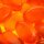 VIVIL® Wild Orange ohne Zucker Bonbons 33 St./ 120,0 g, 1 Pack