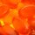 VIVIL® Wild Orange ohne Zucker Bonbons 33 St./ 120,0 g, 1 Pack