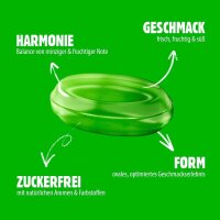 VIVIL® Limette-Minze ohne Zucker Bonbons 33 St./ 120,0 g, 1 Pack