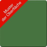 CP Umweltschrank 8721-315 S10154 resedagrün 2 Fachböden 50,0 x 50,0 x 100,0 cm, aufgebaut, 1 St.